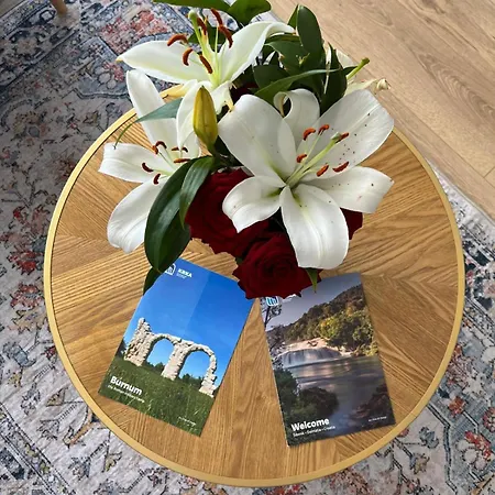 Apartman Tenen